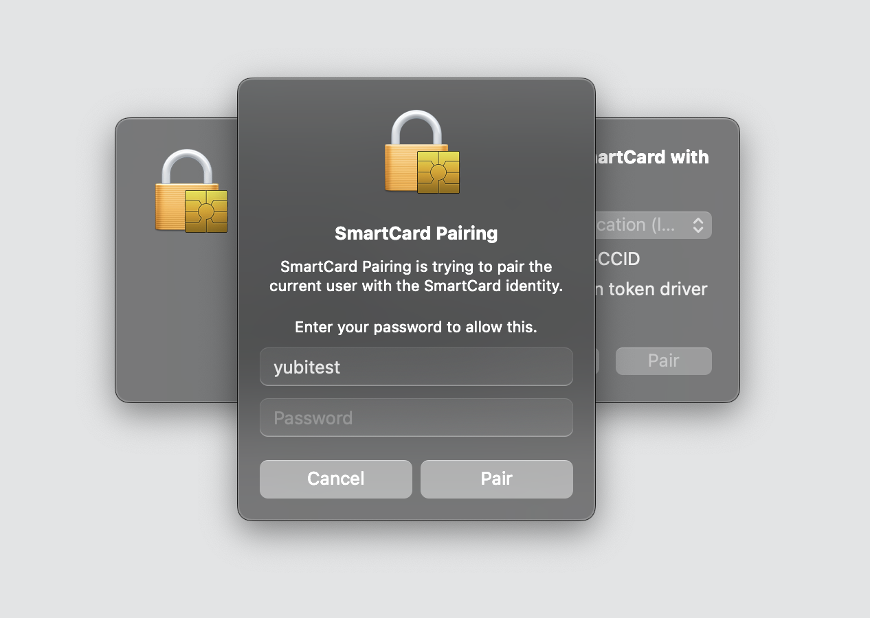 Screenshot 2025-03-04 at 12.20.54 PM.png