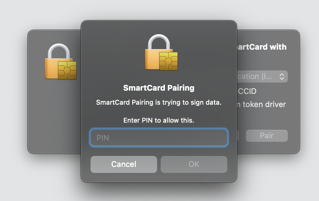 Screenshot 2025-03-04 at 12.22.19 PM.png